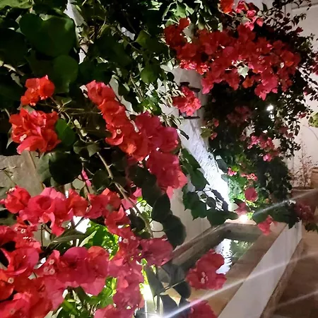 Albariza Boutique Hotel